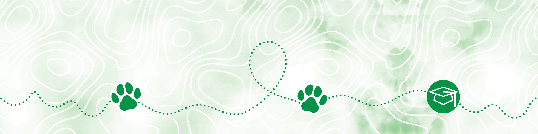 paws banner