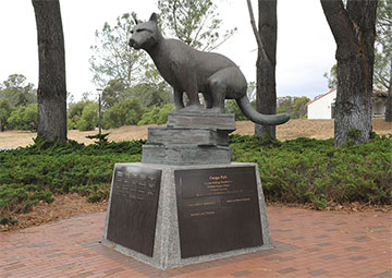 Cougar Park Statue