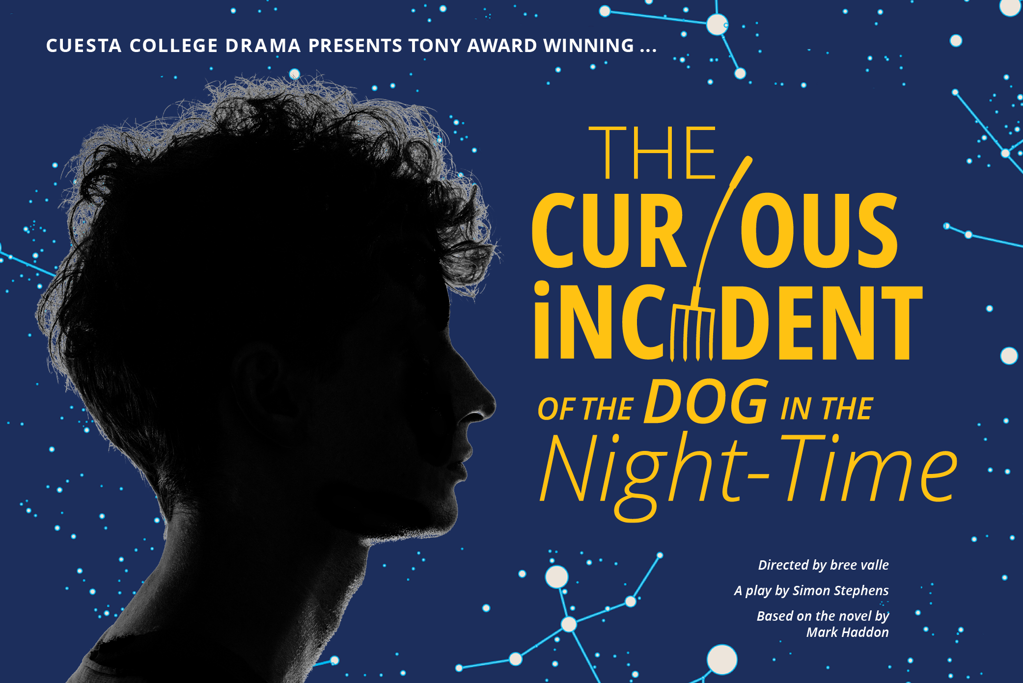 Poster of The Curious Incident of the Dog in the Night-Time