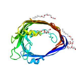 3d model of protein