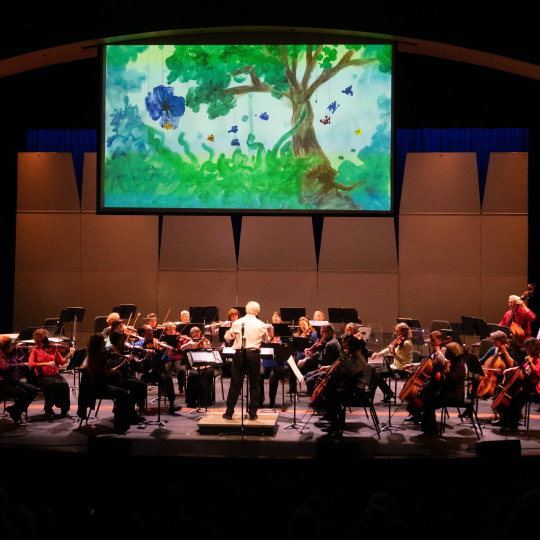 March Orchestra Novo