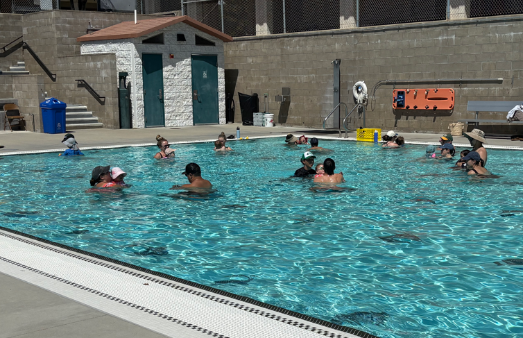 Angelfish class in session