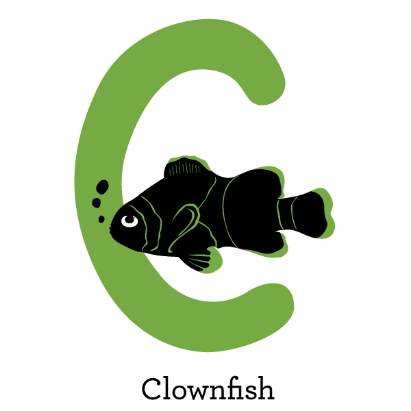 clownfish level