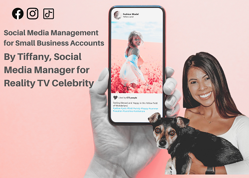 Social Media Management for Small Business Accounts By Tiffany, Social Media Manager for Reality TV Celebrity