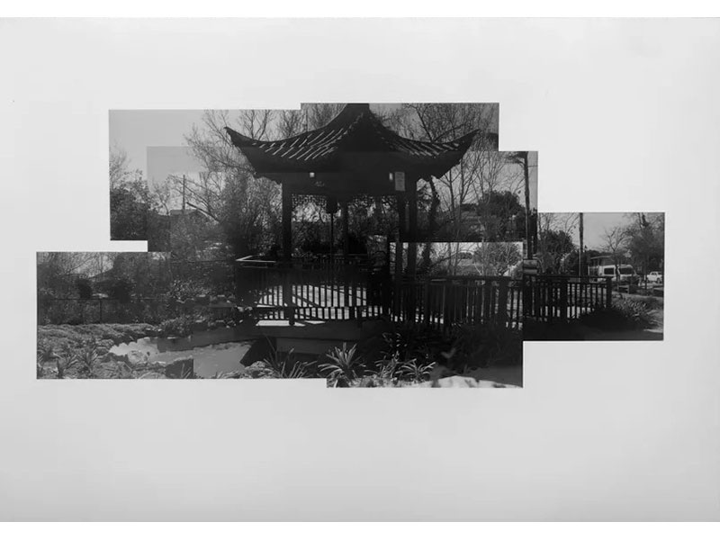 Madeline Rhodes "Hockney inspired Japanese Garden"